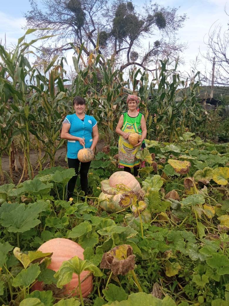 �������������� ���������� ���������� ������ �� ����� ������ 06.10.2022